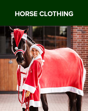 Horse Clothing